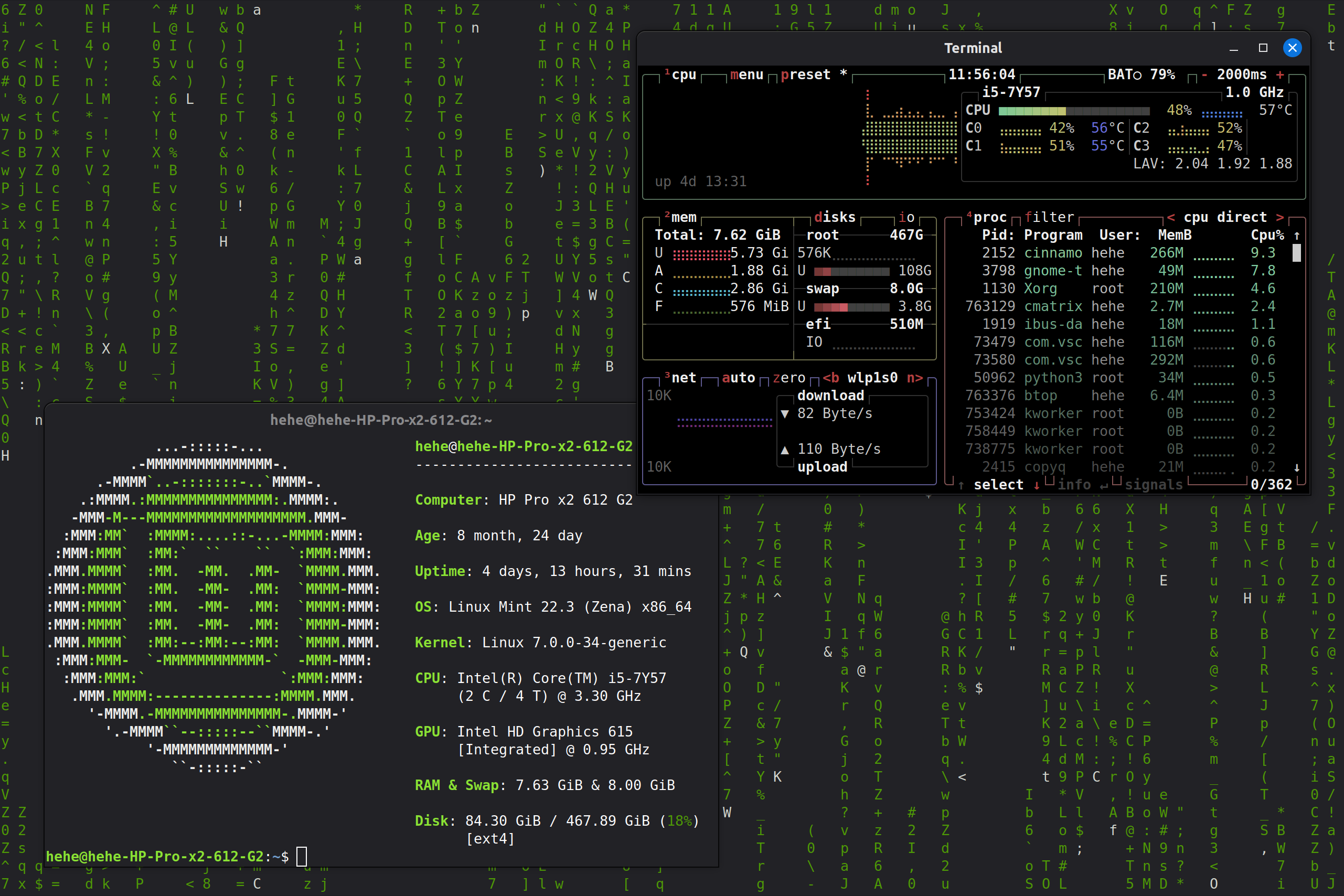 Image that shown what Linux could look like, it's from my own laptop